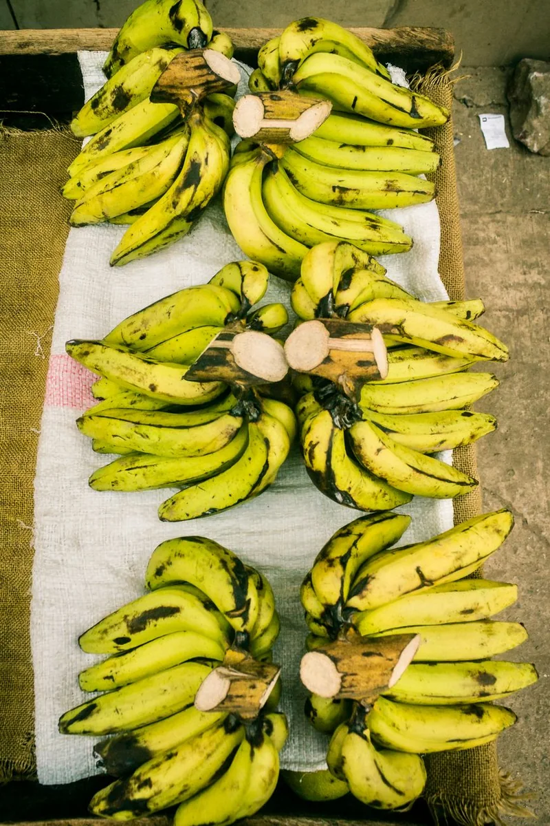 无码影院首页主视觉，示意频道与专题片单的目录编排